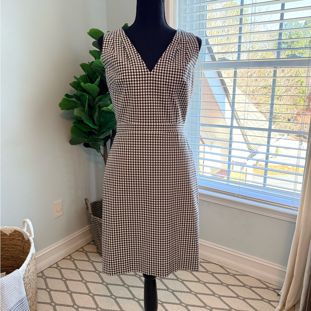 J. Crew Navy and White Gingham Dress
